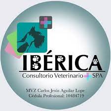iberica-consultorio-logo