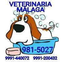 veterinaria-malaga-merida